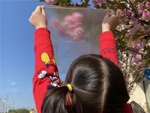 眉山天府新区青龙幼儿园关爱学子眼健康