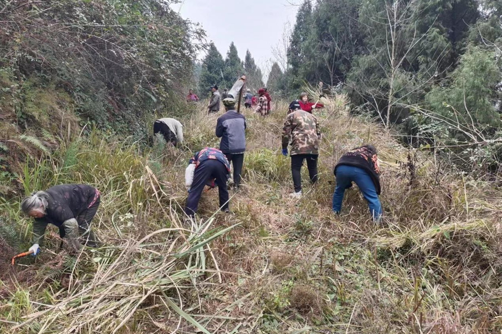 兴隆镇开展森林火灾风险隐患排查整治集中攻坚行动