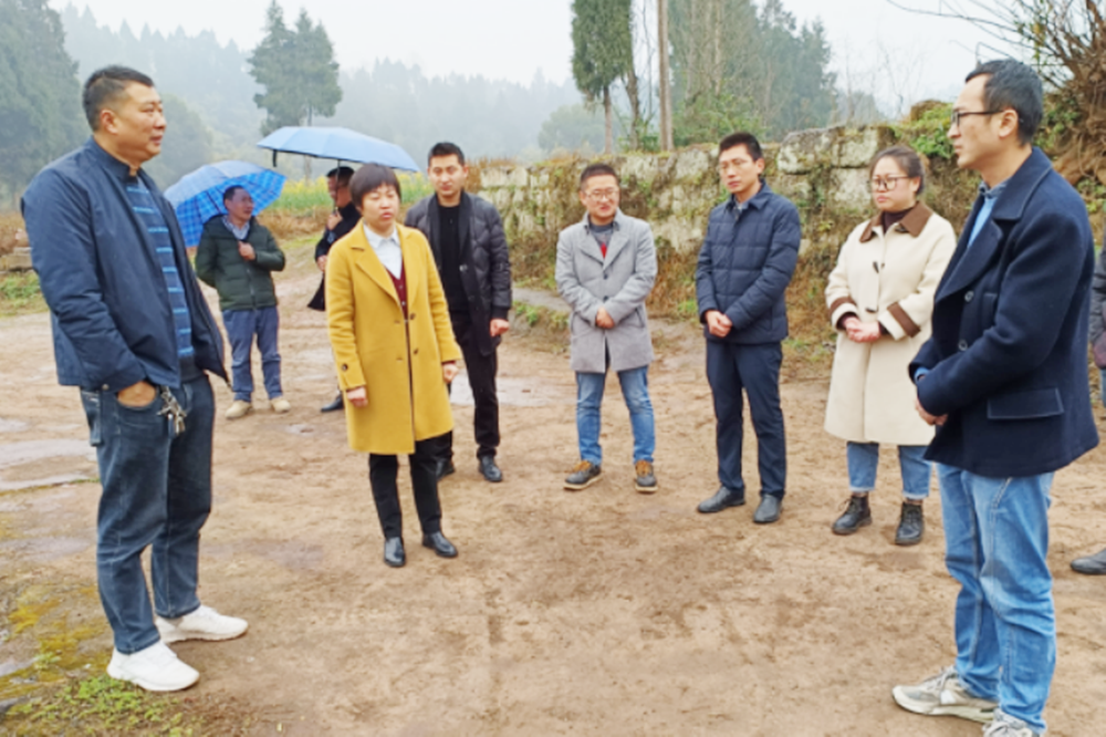 广安区开展渔池滩河巡河活动