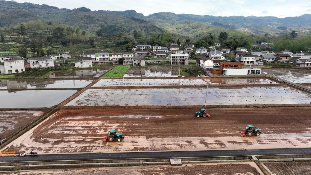 丹棱县：农田建设忙 春耕正当时
