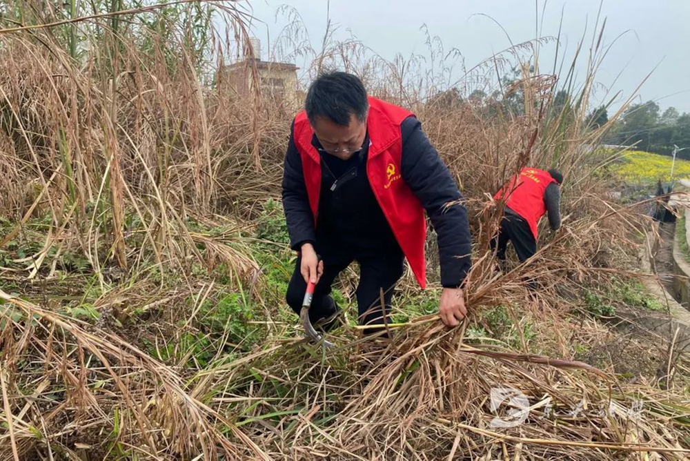 东兴区：美乡优村齐努力 农村面貌日日新