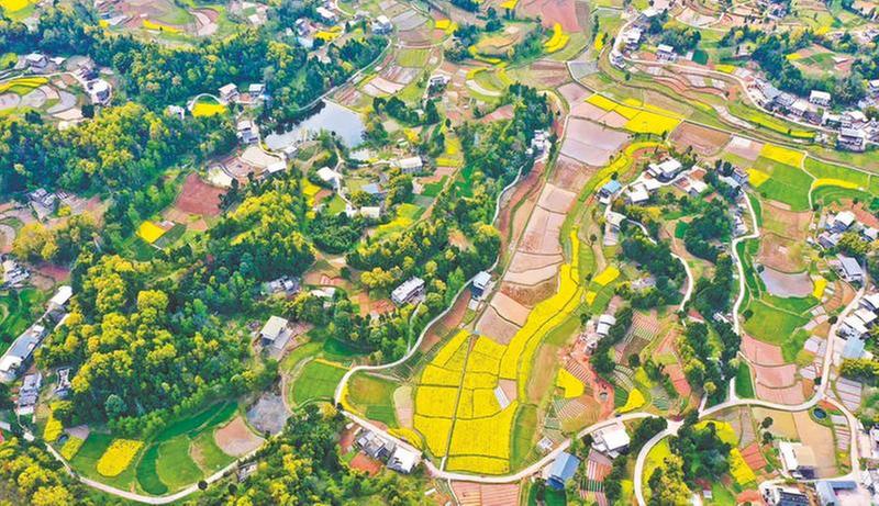 生态新农村 田园美如画