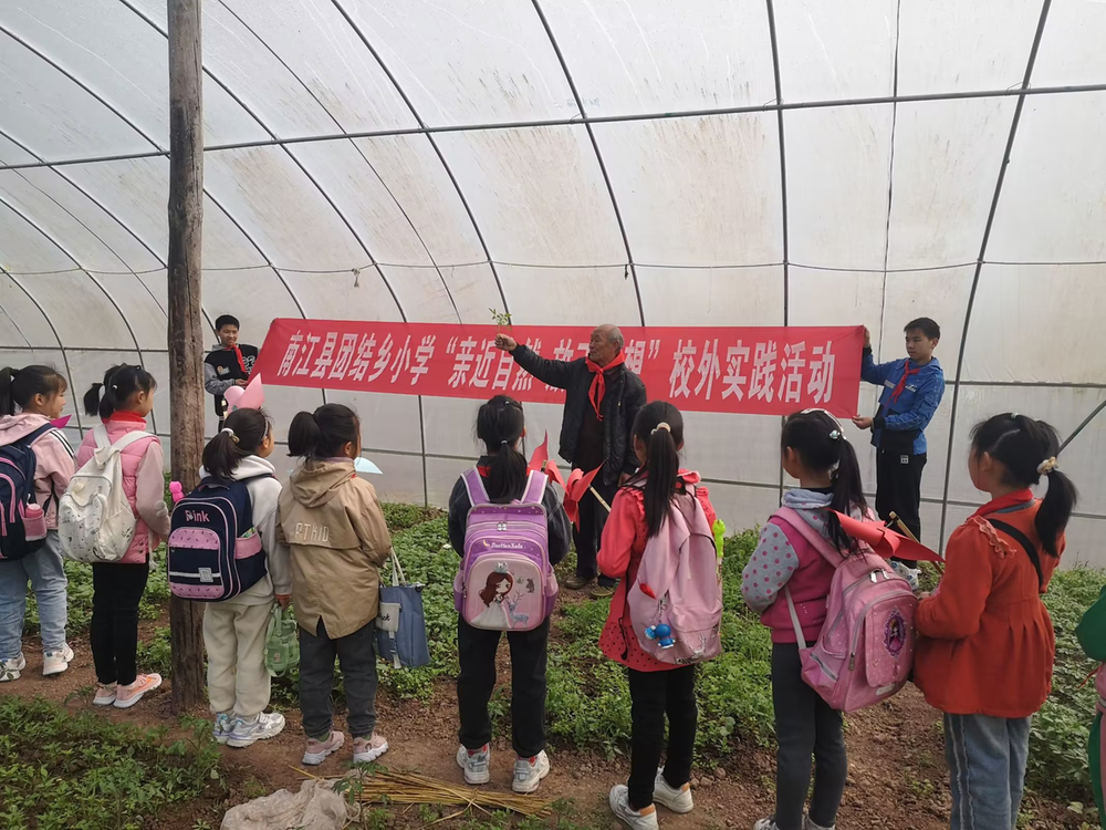 南江县团结乡小学带来大棚里的劳动课
