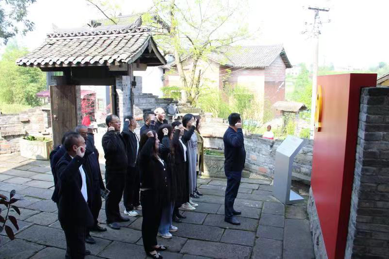 广安区枣山小学开展主题党日活动