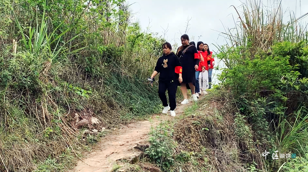 加强火源管控 内江市市中区筑牢森林防火安全底线