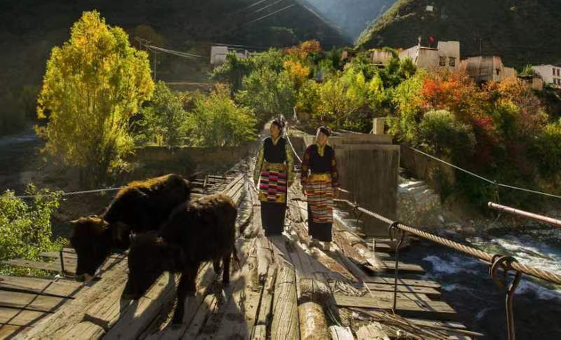 快来投稿吧！“田园白藏房·净土香巴拉”摄影大赛正火热征集作品