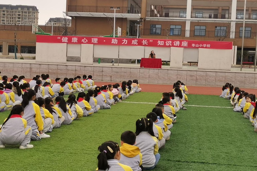 广安区枣山小学举办心理健康知识讲座