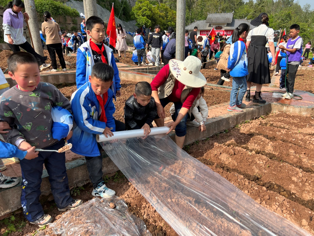 南江县红光镇小学上好劳动实践课