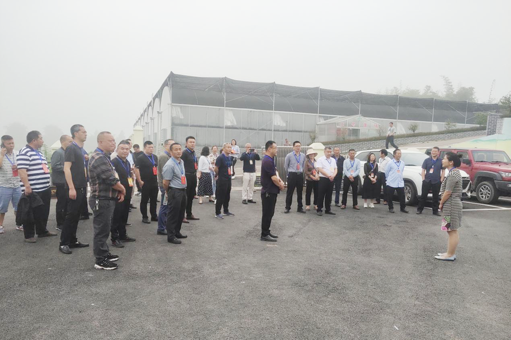 猛山乡：扎实开展“代表日”活动 助力乡村振兴