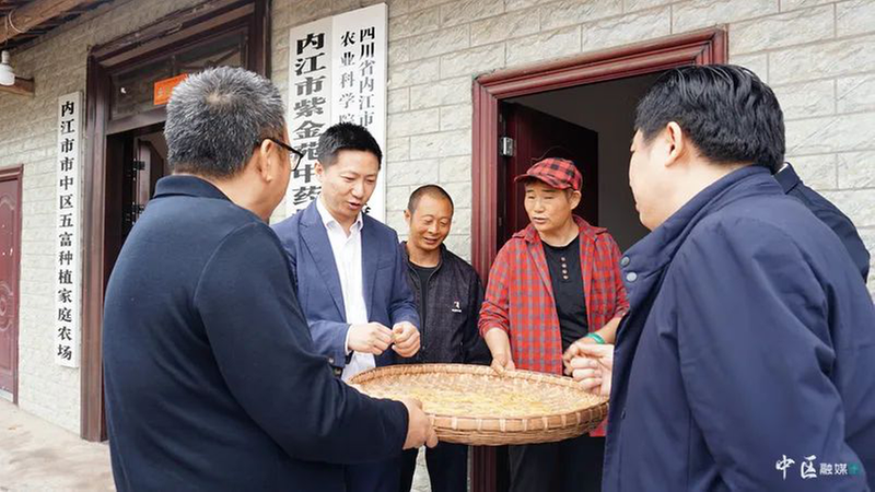 内江市市中区领导调研春耕生产、大水面生态养殖和农村面貌改善工作