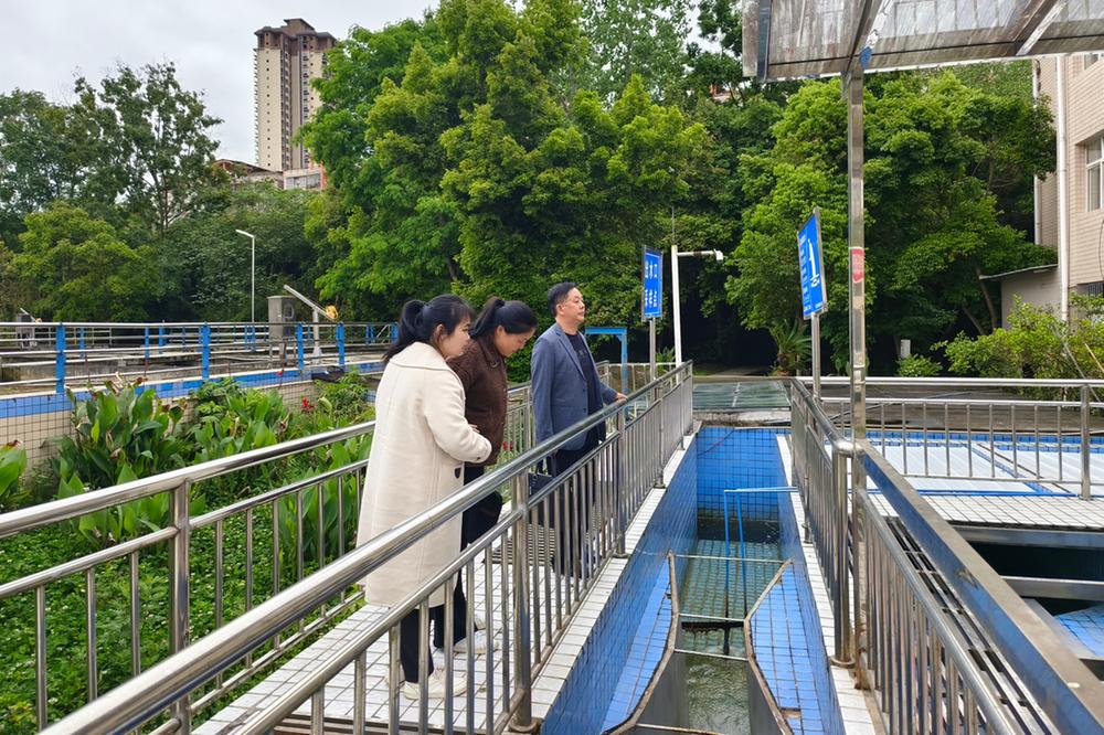 蓬安县科协:实地走访企业问需  引领企业绿色发展