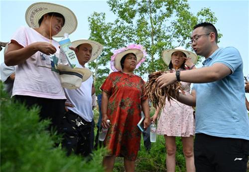 东兴区：科技工作者送“技”下乡