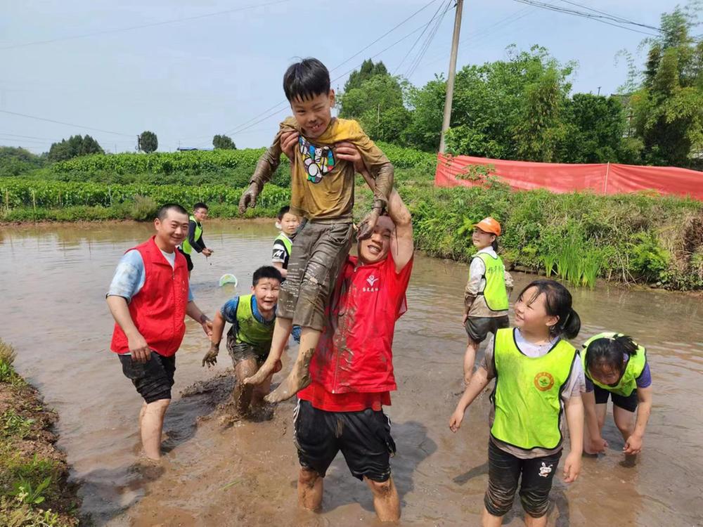 嘉陵区：割麦子 捉泥鳅 儿童体验农耕生活