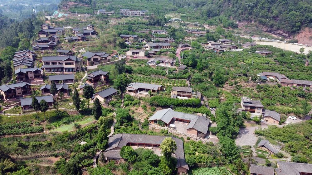 丹棱县：以工代赈惠民利民  深度助力乡村振兴