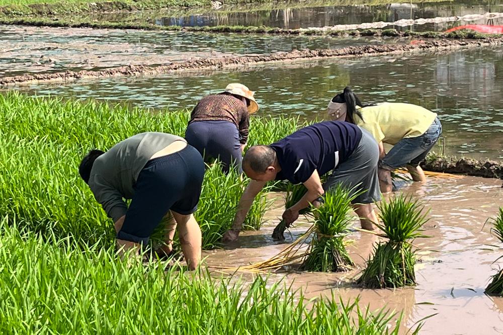 岳池县九龙街道开展“春耕助农”主题党日活动