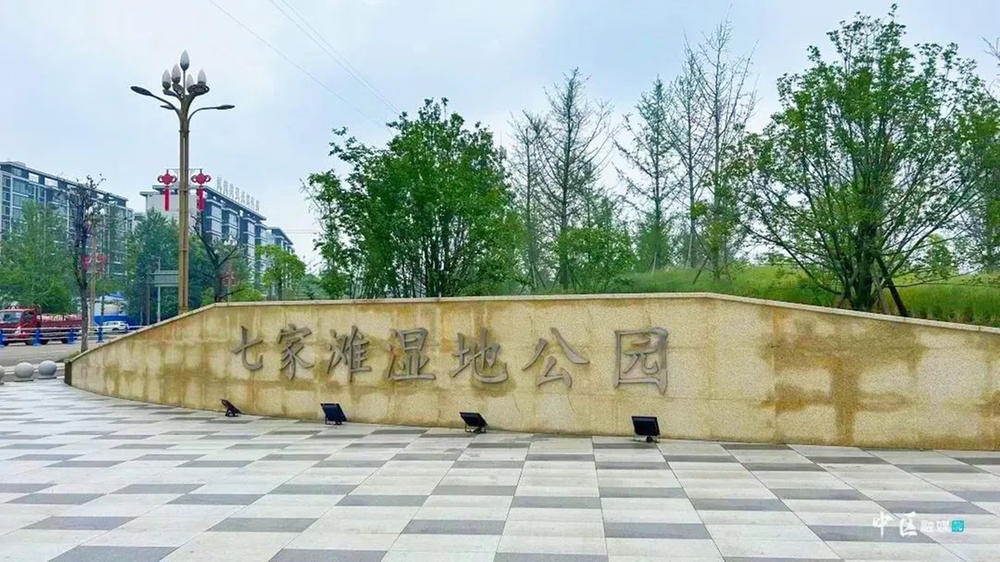 美乡优城 | 内江市市中区全域绿化，持续改善人居环境