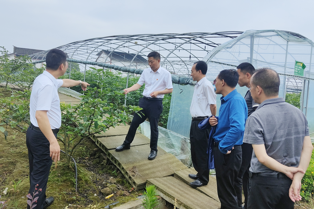 广安市市场监管局机关第三党支部开展主题党日活动