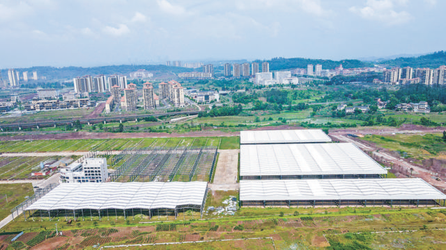 广安建材城项目一期预计今年内建成投用