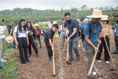 亲身体验！近百名来华留学生为简阳乡村振兴 成果点赞