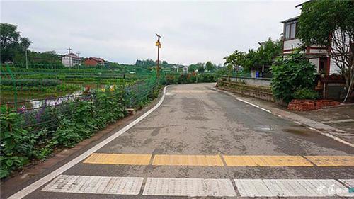 内江市市中区强化监督，助推乡村面貌焕然一新