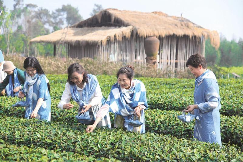 跟随邛窑足迹 追寻田野上的“诗和远方”
