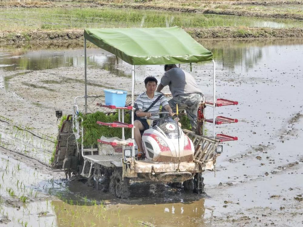 青神种粮大户潘鹏超：从种粮的“新农人”到“兴农人”