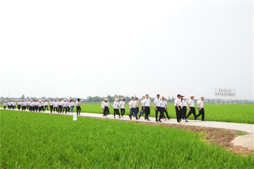 东坡区：接续乡村振兴，打造更高水平的“天府粮仓”在行动