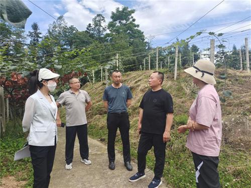 马边县：邀请专家团队问诊产业项目