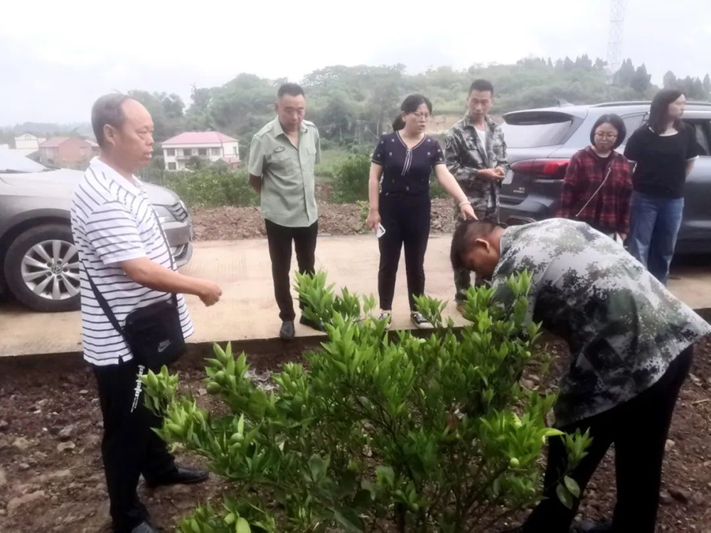 内江市科协调研指导包联村农村面貌改善工作