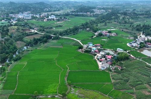 石子镇摆擂展示乡村美