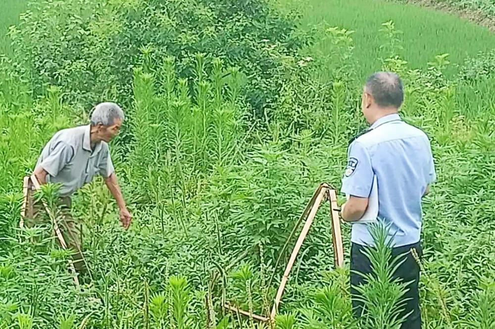 华蓥市公安局禄市派出所严守耕地红线
