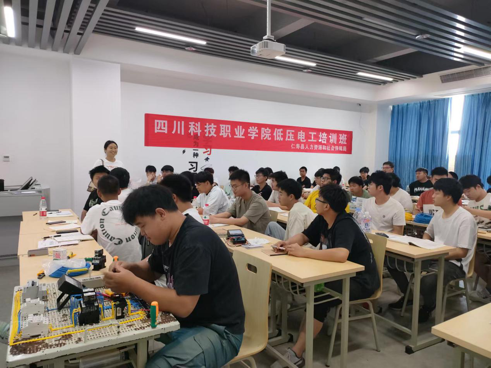 仁寿县人社局组织开展技能培训进校园活动  
