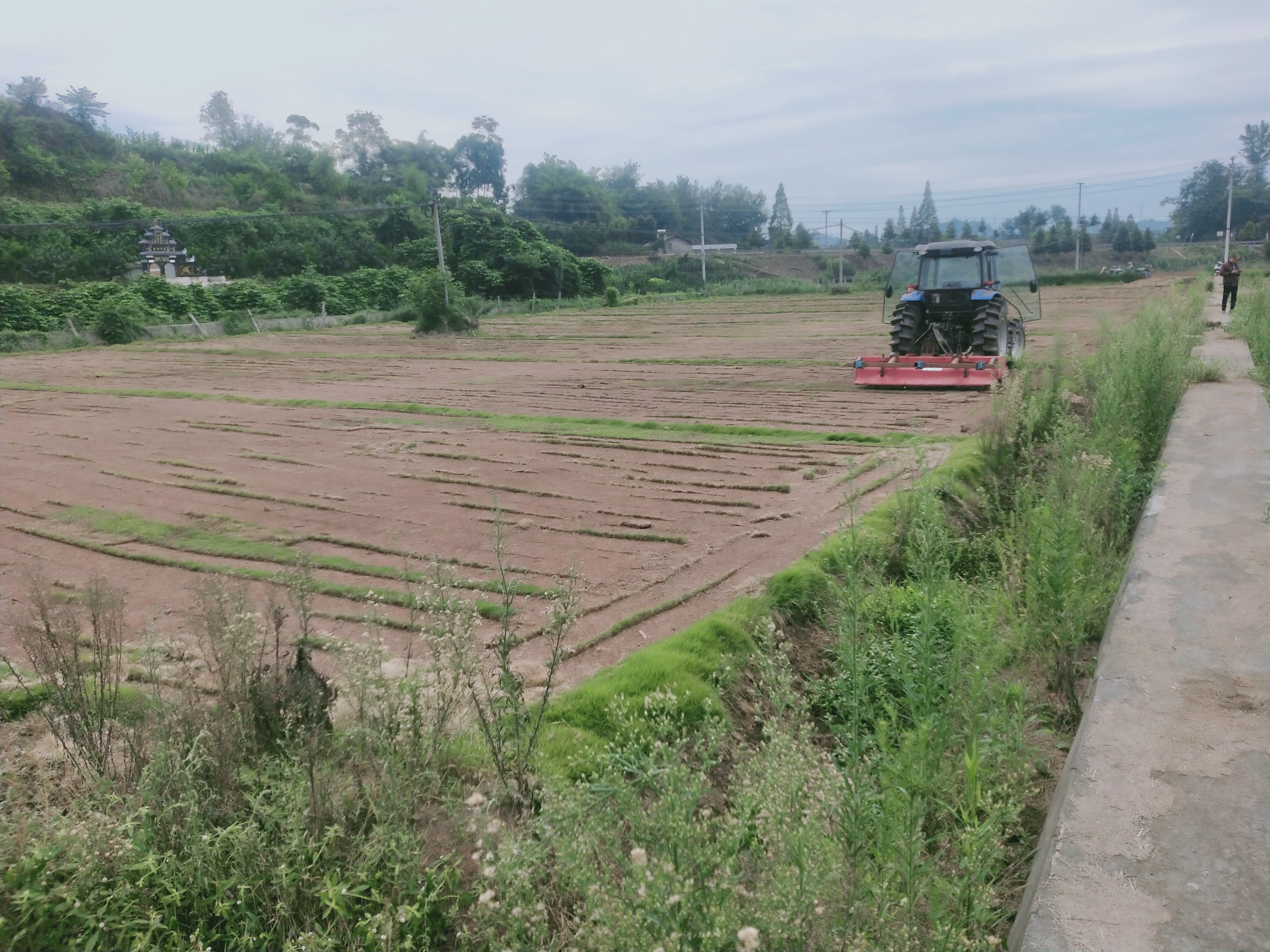 丹棱县：藏粮于技 农机跑出农业现代化“加速度”
