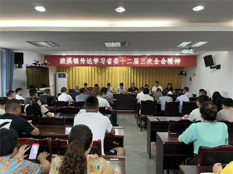 浓溪镇深入学习贯彻省委十二届三次全会精神