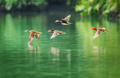 景美了 水清了 人乐了