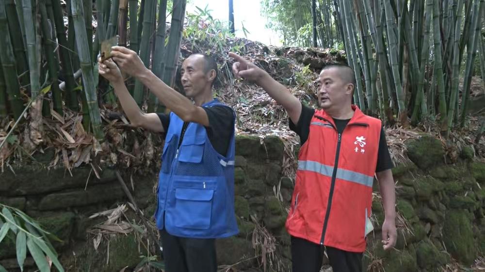 青神县：闻“汛”而动 筑牢地灾防治“安全堤”