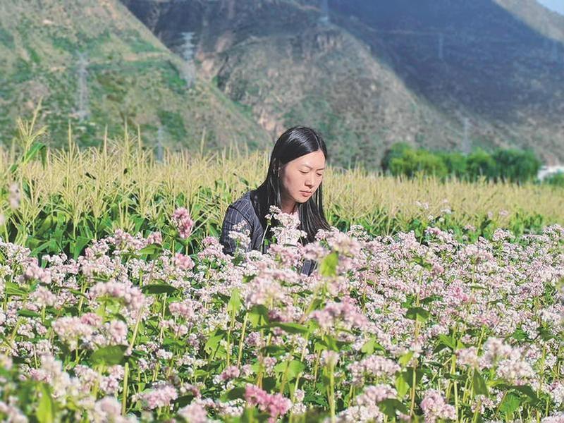 援建之花绽放川西高原