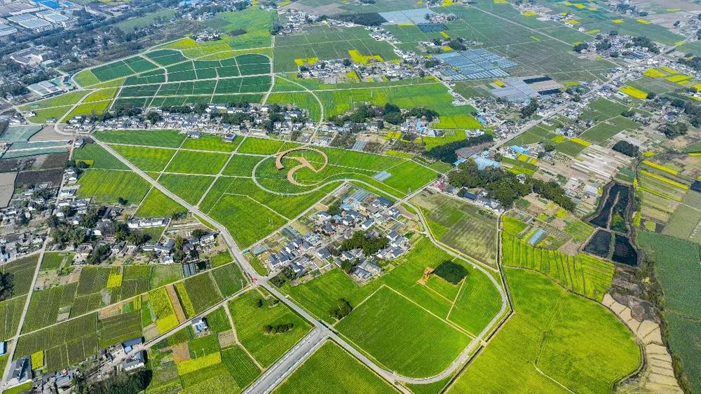 青神县：智慧农田挑稳粮食生产“金扁担” 绘就青衣大地“粮”辰美景