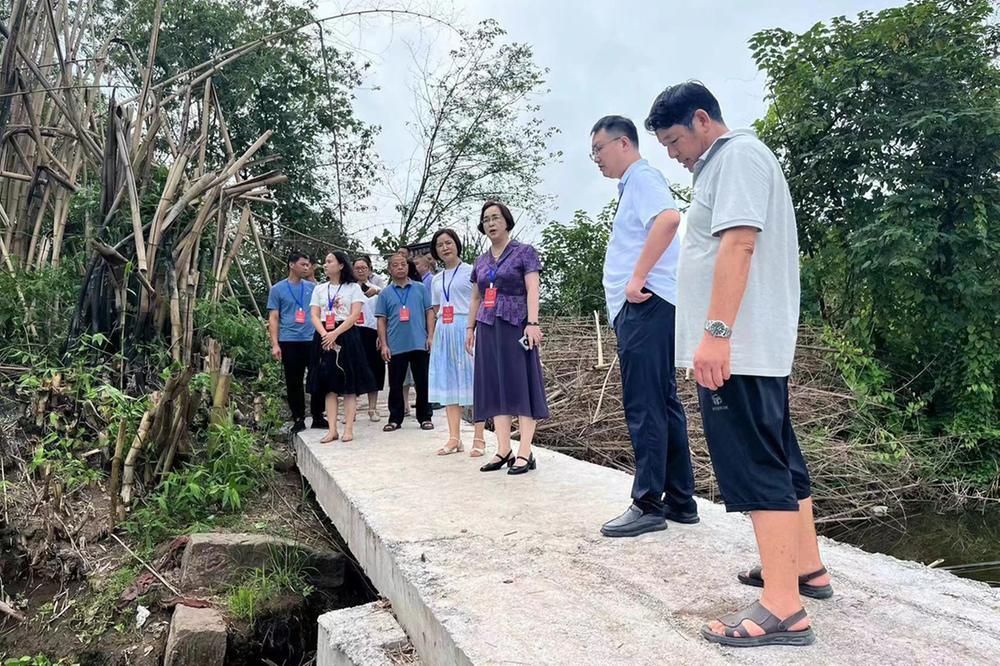 赛马镇开展市县乡人大代表大走访大调研活动