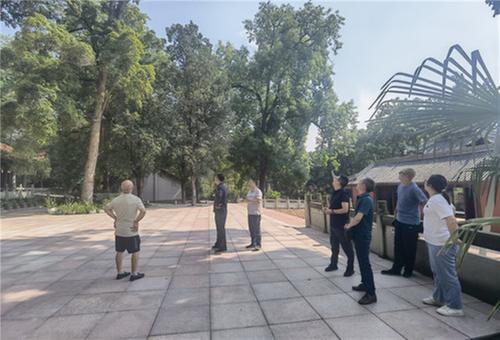 古树名木专家调研东坡区古树名木保护复壮工作