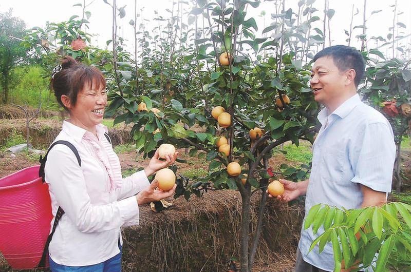 家底“厚” 产业兴