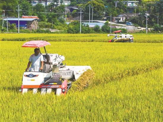 青神县：严守耕地红线 建设高标准农田