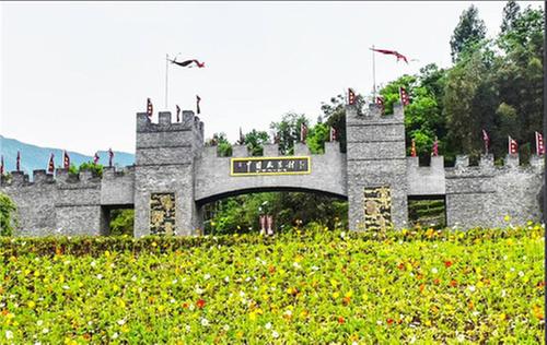 探访中国藏茶村寻味“千年茶香”