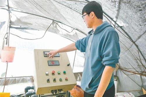 到倍安草莓园享“莓”好时光