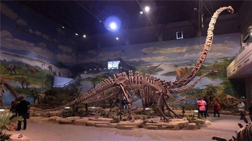 探秘“东方龙宫” 走进自贡恐龙博物馆