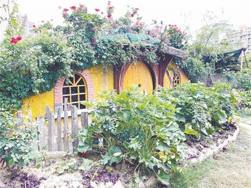 在屋顶享受田园生活