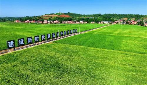 仁寿县：探索丘区粮食发展道路 打造新时代更高水平“天府粮仓”