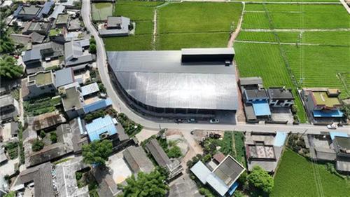 青神县：机械化烘干“晒谷”更高效