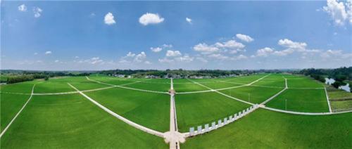 青神县：科技助力秋收 端牢“粮食碗”