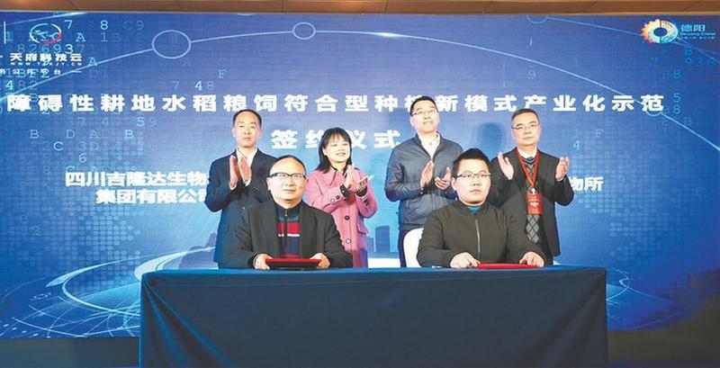 供需双方云端触网 “天府科技云”助力德阳高质量发展